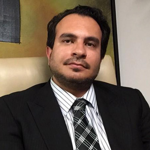 Arsalan Hayatdavoodi